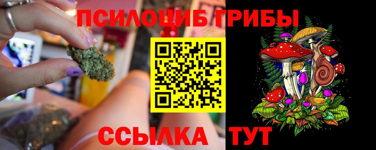 Грязи  Псилоцибиновые грибы ЛСД  купить наркотик  Вход с VPN 